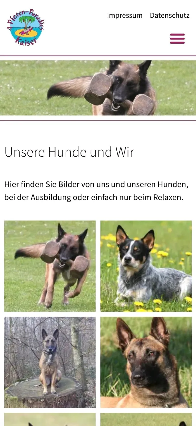 Screenshot der 4Pfoten Paradies Website – Mobile
