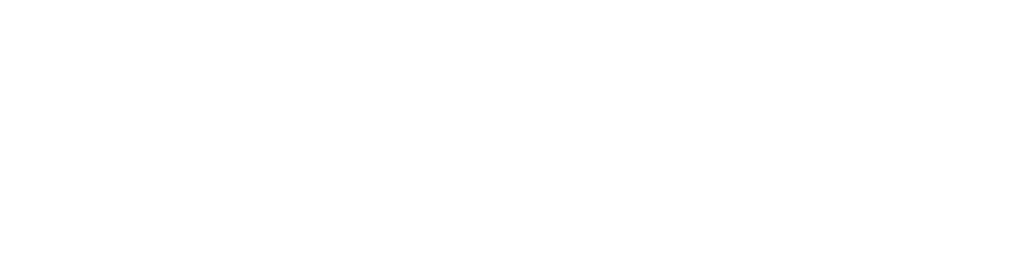 MOLOTOW Web Development Logo weiß